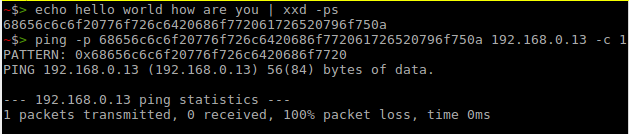 ping_test.png, Jun 2021